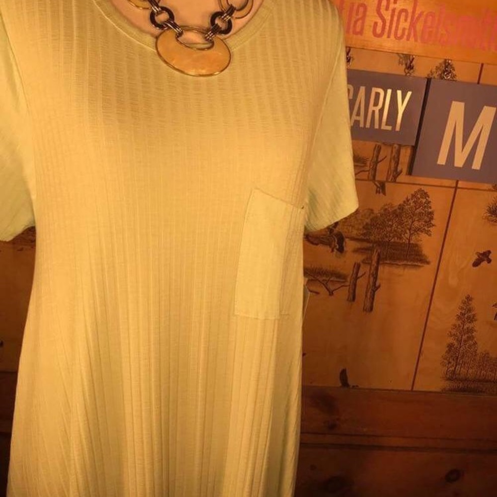 LuLaroe Carly